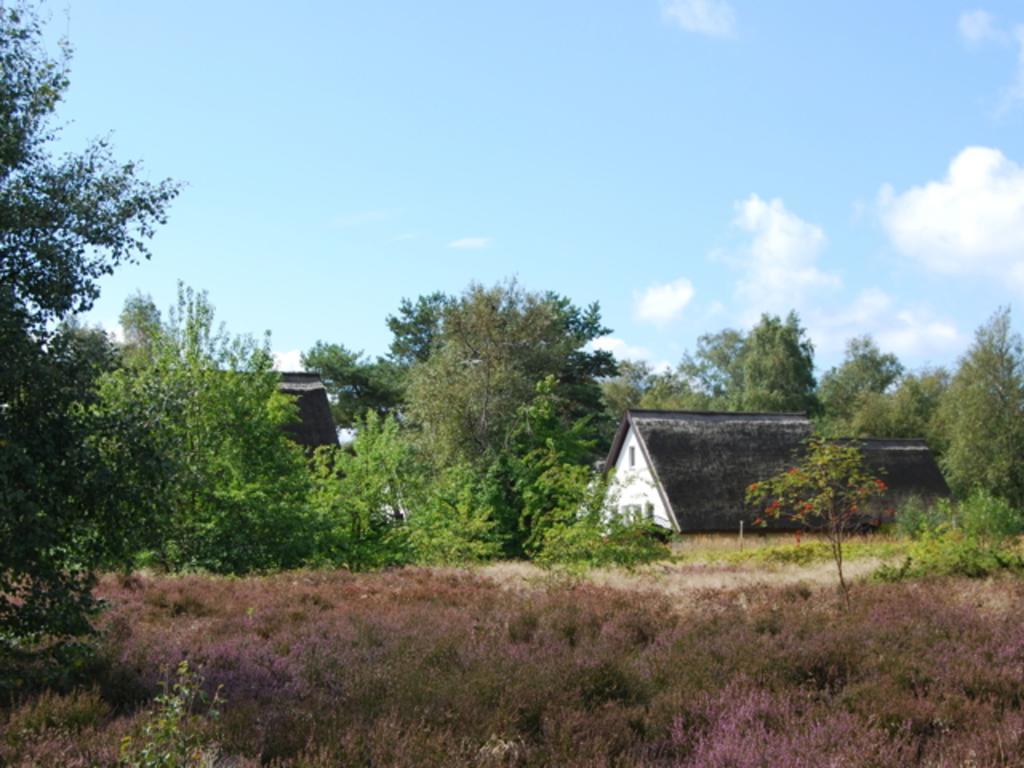 Doppelhaushaelfte In Vitte Auf Hiddensee Екстериор снимка